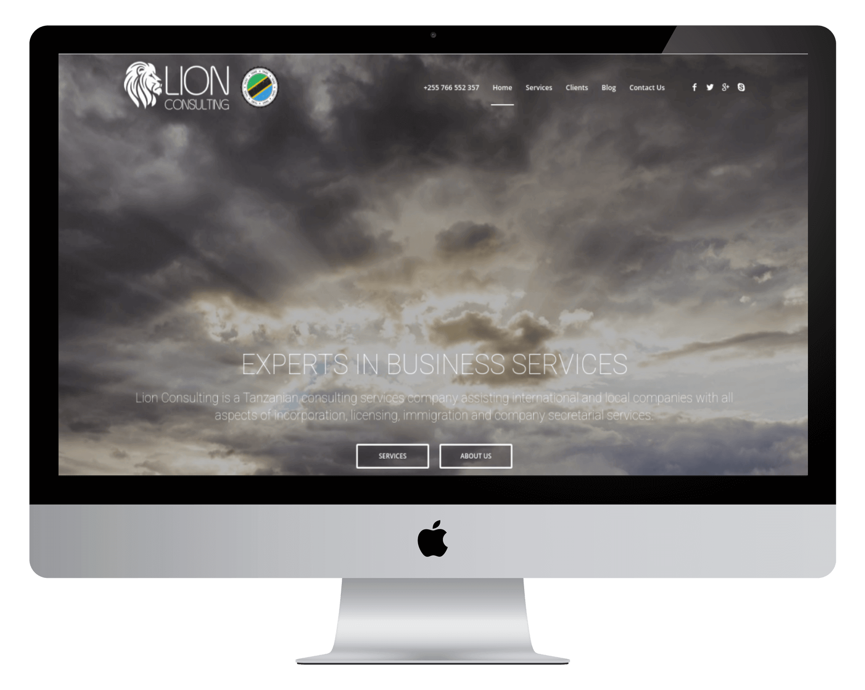 Lion Consulting